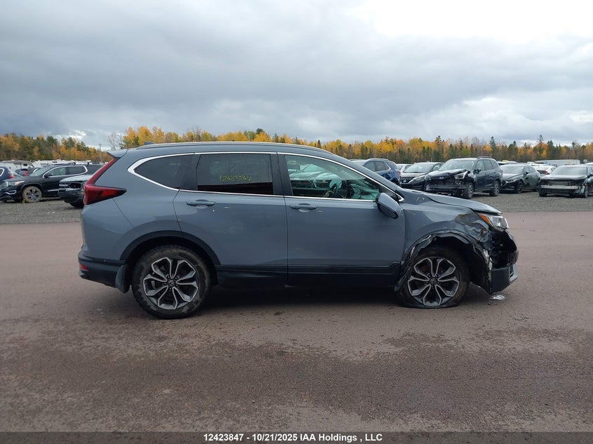 2022 Honda Cr-V Exl VIN: 2HKRW2H84NH216844 Lot: 12423847