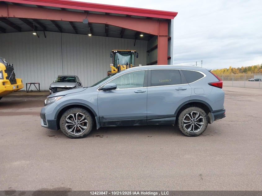 2022 Honda Cr-V Exl VIN: 2HKRW2H84NH216844 Lot: 12423847