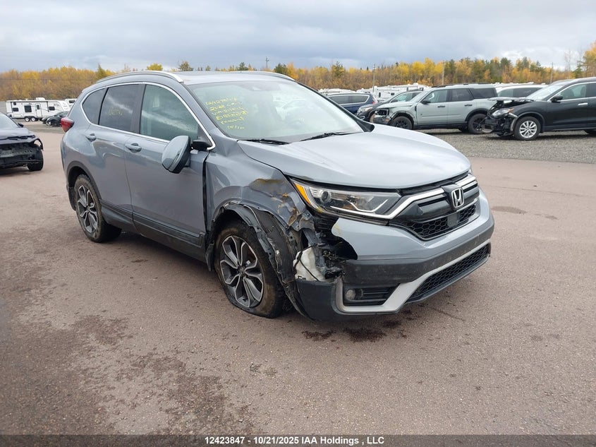 2022 Honda Cr-V Exl VIN: 2HKRW2H84NH216844 Lot: 12423847