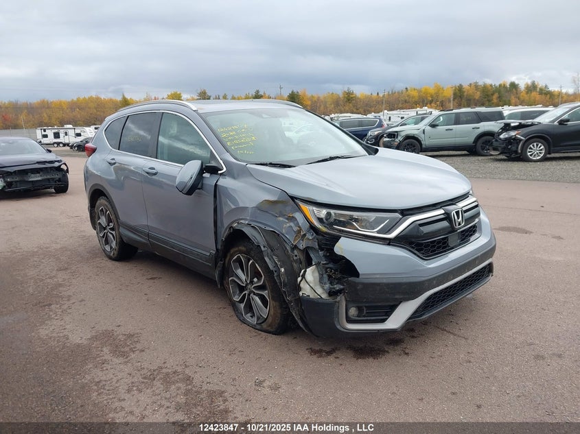 2022 Honda Cr-V Exl VIN: 2HKRW2H84NH216844 Lot: 12423847