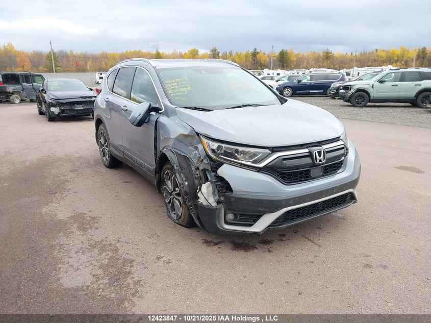 2022 Honda Cr-V Exl VIN: 2HKRW2H84NH216844 Lot: 12423847
