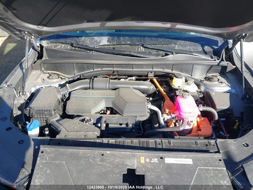 KNDRGDJG0S5404136 2025 KIA SORENTO photo no. 10