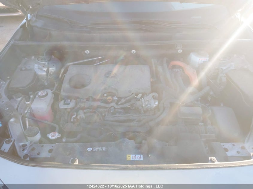 2023 Toyota Rav4 VIN: 2T3RWRFV2PW156298 Lot: 12424322