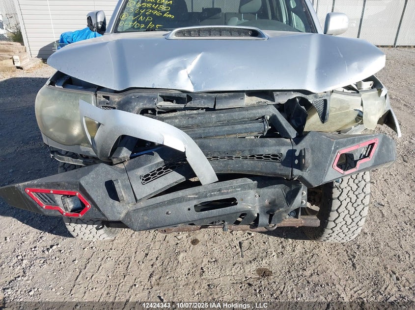 5TEMU52N69Z658480 2009 TOYOTA TACOMA photo no. 6