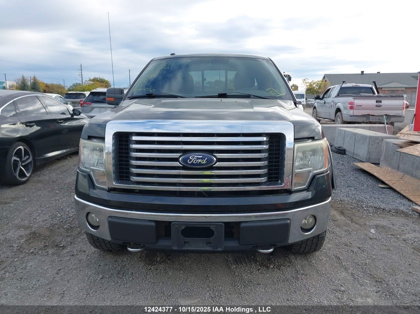 2010 Ford F-150 Fx4/Lariat/Svt Raptor/Xl/Xlt VIN: 1FTFX1EV8AFD44433 Lot: 12424377