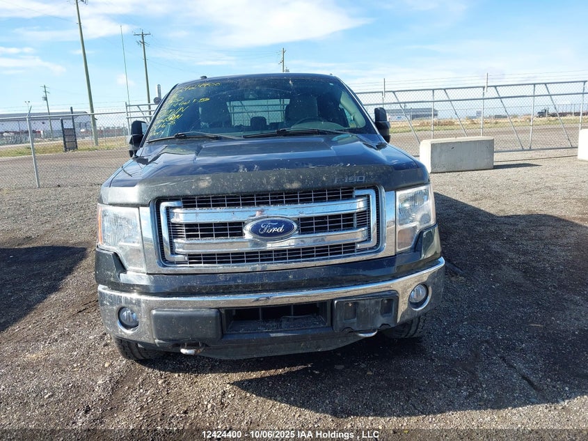 1FTFW1ET3EFA39252 2014 FORD F-150 photo no. 13
