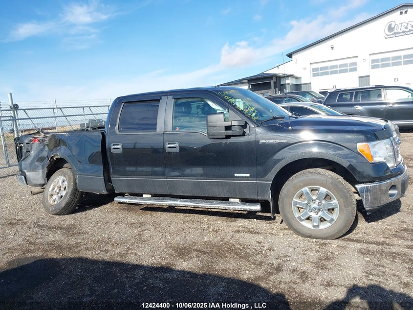 1FTFW1ET3EFA39252 2014 FORD F-150 photo no. 14