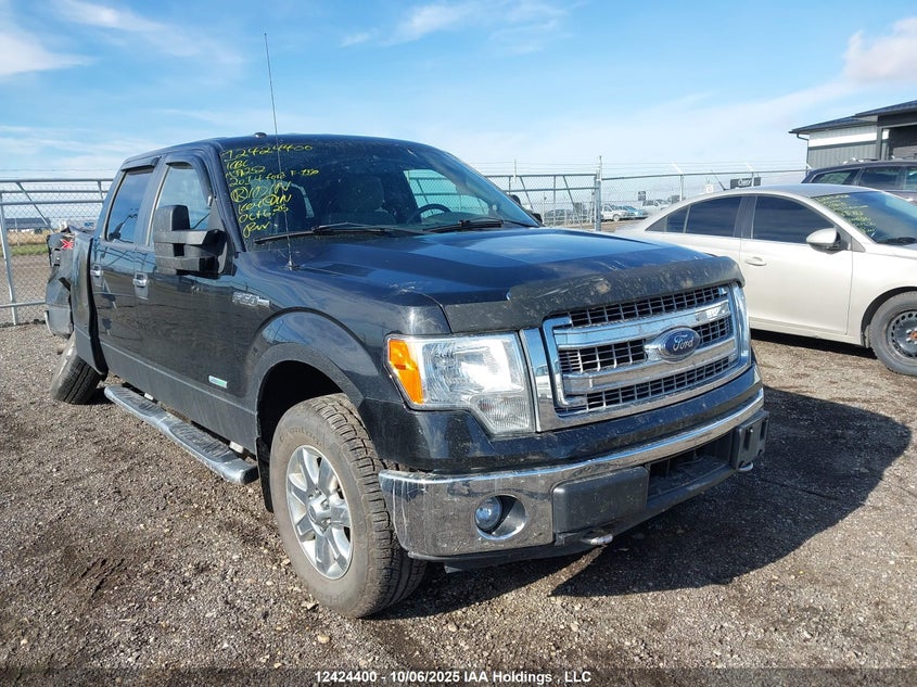 1FTFW1ET3EFA39252 2014 FORD F-150 photo no. 17