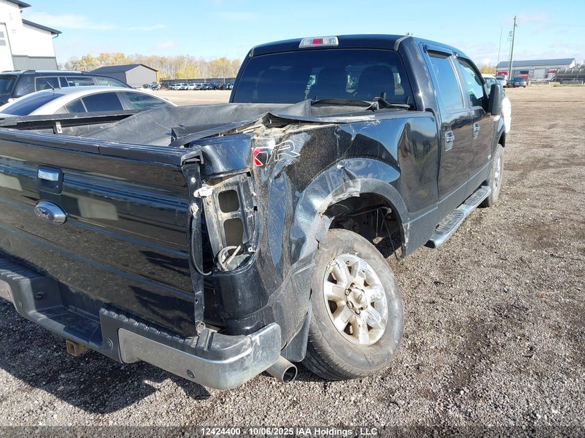1FTFW1ET3EFA39252 2014 FORD F-150 photo no. 6