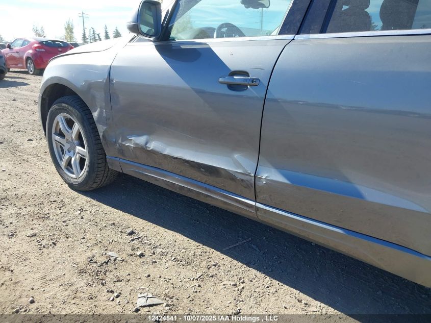 2012 Audi Q5 Premium Plus VIN: WA1LFCFP8CA107646 Lot: 12424541