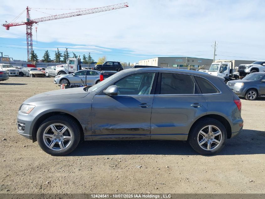 2012 Audi Q5 Premium Plus VIN: WA1LFCFP8CA107646 Lot: 12424541