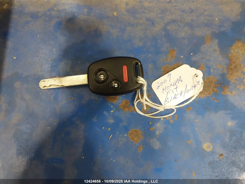 2009 Honda Fit Lx VIN: JHMGE87519S802119 Lot: 12424656