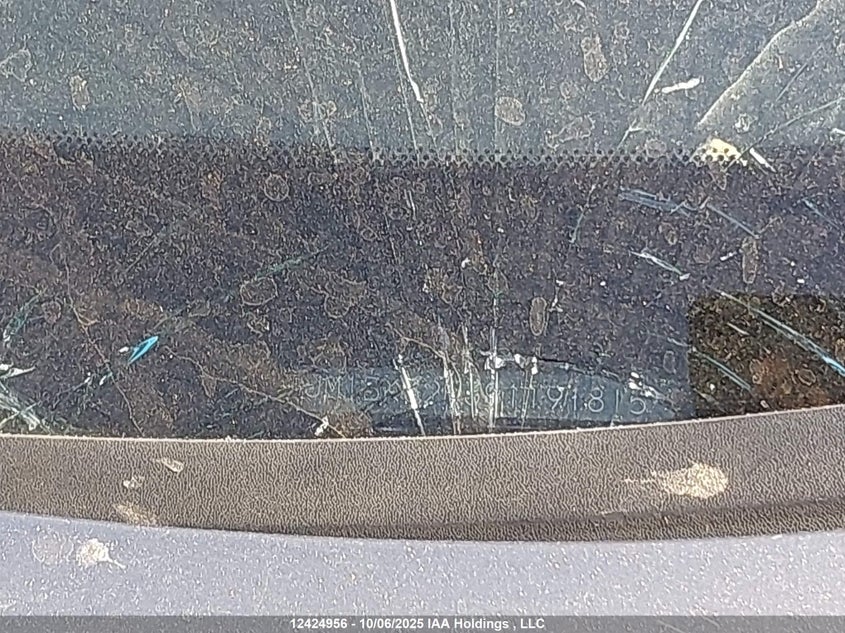 2009 Mazda 3 I VIN: JM1BK32F391191815 Lot: 12424956