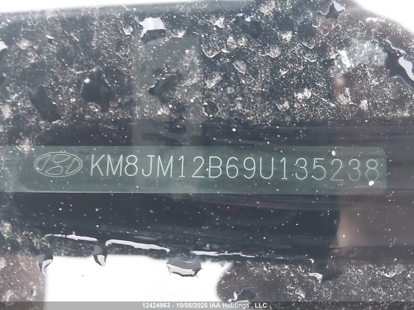 2009 Hyundai Tucson Gls VIN: KM8JM12B69U135238 Lot: 12424963