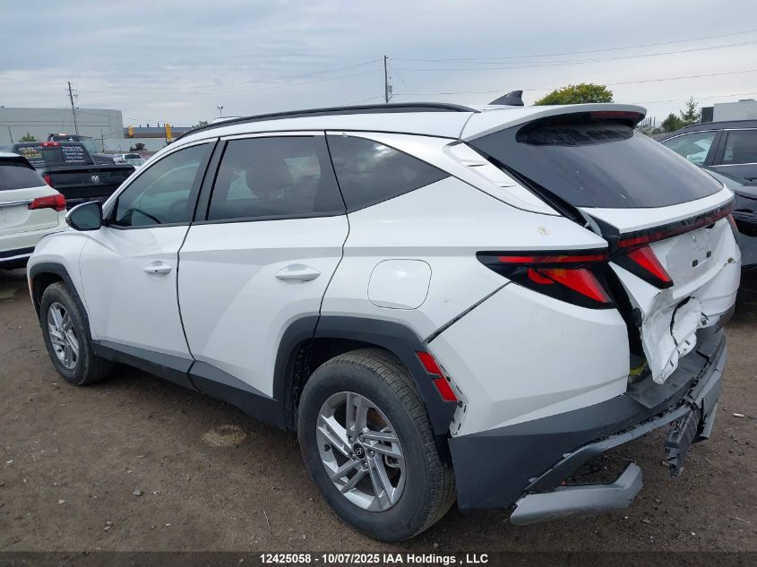 2025 Hyundai Tucson Preferred VIN: 5NMJBCDE7SH551387 Lot: 12425058