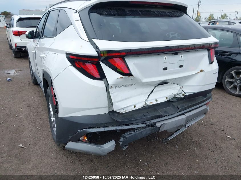 2025 Hyundai Tucson Preferred VIN: 5NMJBCDE7SH551387 Lot: 12425058