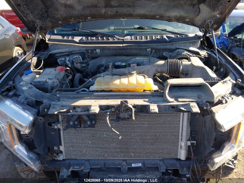 2020 Ford F-150 Xlt VIN: 1FTEX1EP9LFB10589 Lot: 12425065