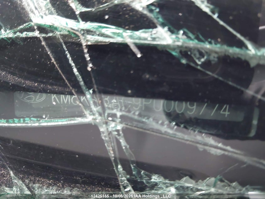 2023 Hyundai Kona N 2.0T VIN: KM8KH3AC9PU009774 Lot: 12425155