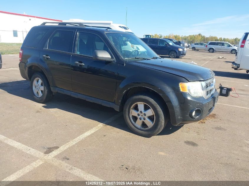 2011 Ford Escape Xlt VIN: 1FMCU0D76BKB16475 Lot: 12425312