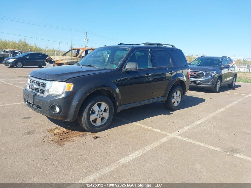 2011 Ford Escape Xlt VIN: 1FMCU0D76BKB16475 Lot: 12425312