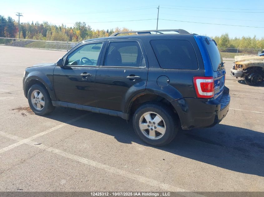 2011 Ford Escape Xlt VIN: 1FMCU0D76BKB16475 Lot: 12425312