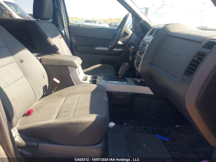 2011 Ford Escape Xlt VIN: 1FMCU0D76BKB16475 Lot: 12425312