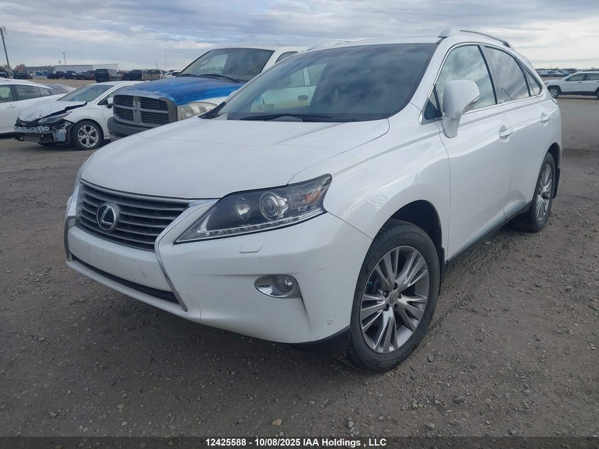 2T2BK1BA4EC229482 2014 LEXUS RX photo no. 2
