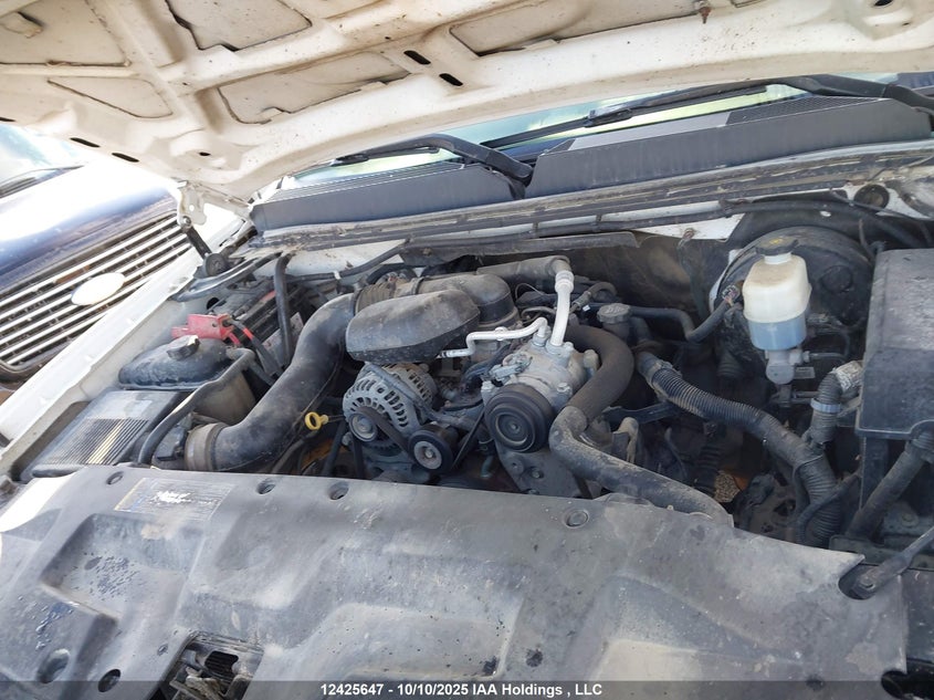 2010 GMC Sierra C1500 VIN: 1GTPCTEX5AZ150048 Lot: 12425647