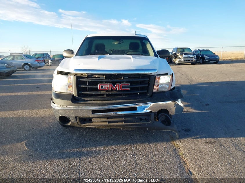 2010 GMC Sierra C1500 VIN: 1GTPCTEX5AZ150048 Lot: 12425647