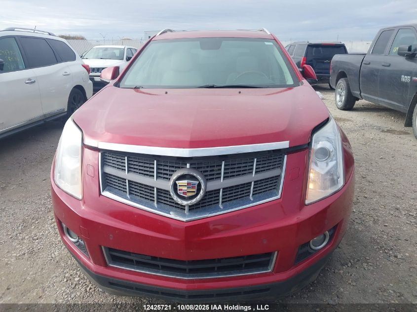2010 Cadillac Srx Premium Collection VIN: 3GYFNFEYXAS552204 Lot: 12425721