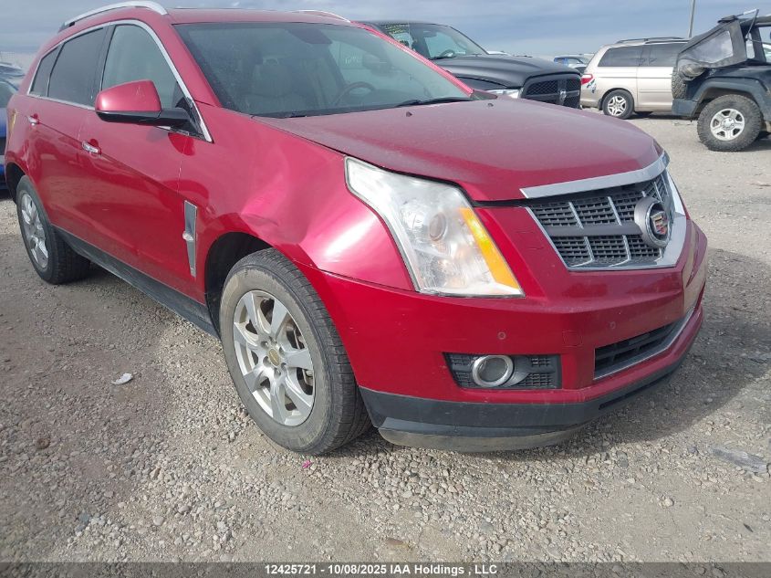 2010 Cadillac Srx Premium Collection VIN: 3GYFNFEYXAS552204 Lot: 12425721