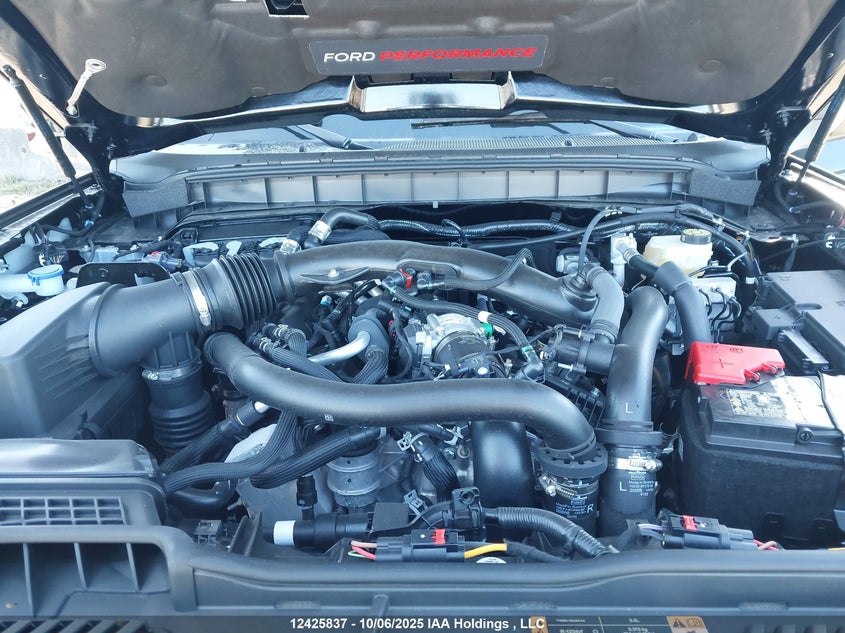 1FMEE0RR7SLA77390 2025 FORD BRONCO photo no. 10