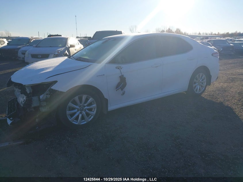 4T1B31HK6JU507955 2018 TOYOTA CAMRY photo no. 2