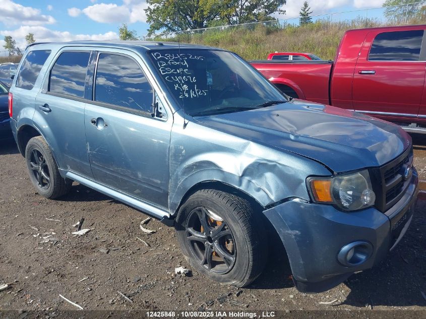 2012 Ford Escape Xlt VIN: 1FMCU9DG4CKC49676 Lot: 12425848