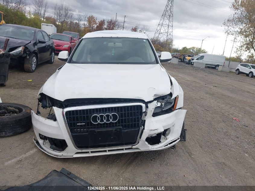 2010 Audi Q5 Premium VIN: WA1CKCFP0AA015973 Lot: 12426225