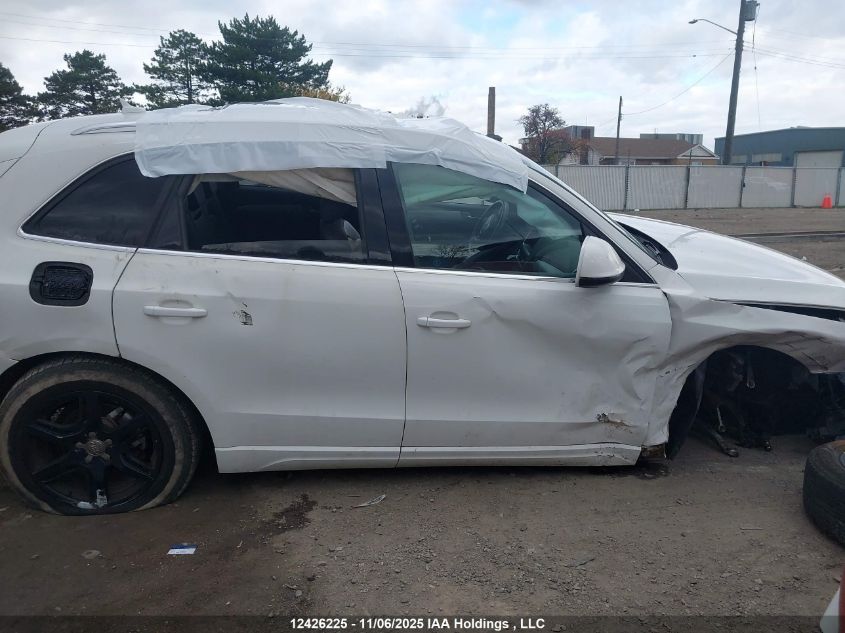 2010 Audi Q5 Premium VIN: WA1CKCFP0AA015973 Lot: 12426225