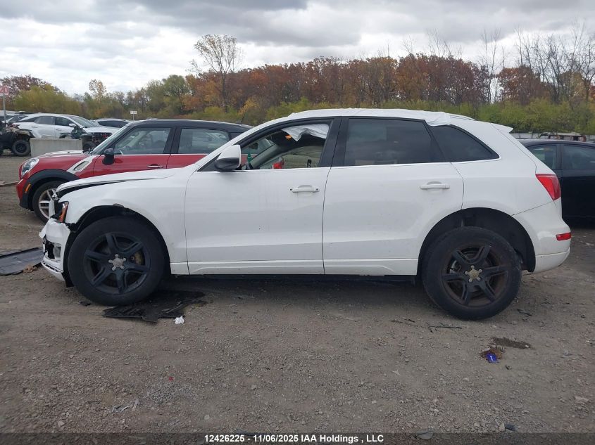 2010 Audi Q5 Premium VIN: WA1CKCFP0AA015973 Lot: 12426225