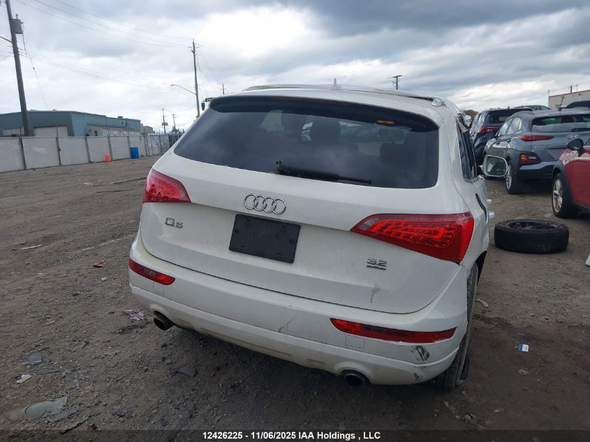 2010 Audi Q5 Premium VIN: WA1CKCFP0AA015973 Lot: 12426225