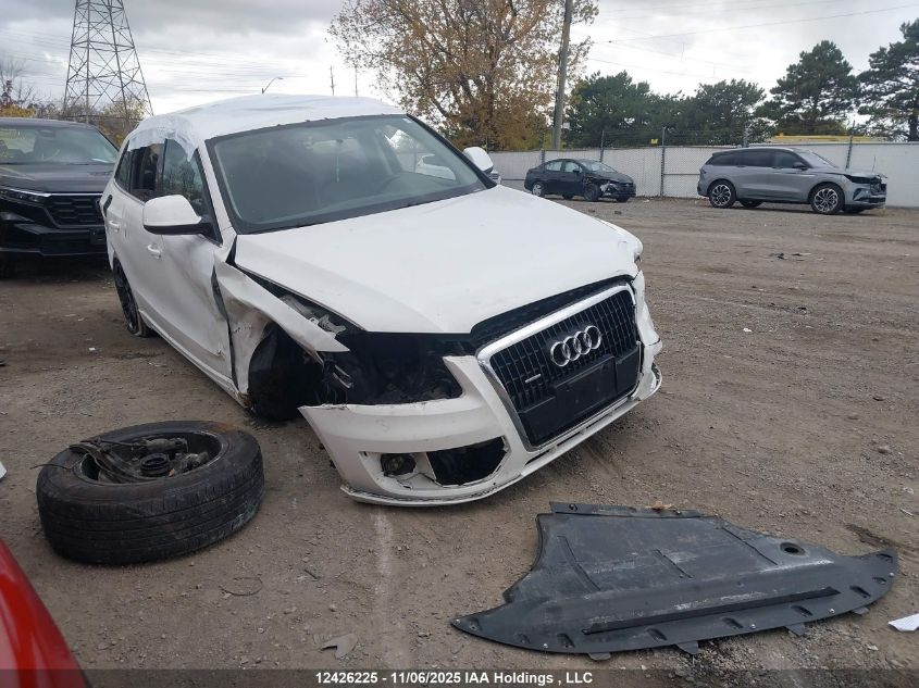 2010 Audi Q5 Premium VIN: WA1CKCFP0AA015973 Lot: 12426225