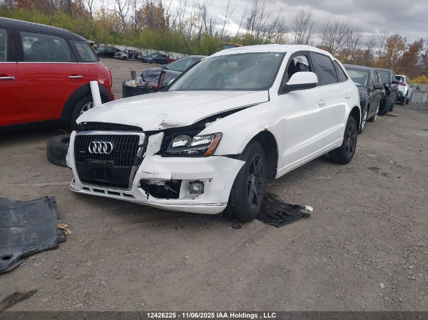 2010 Audi Q5 Premium VIN: WA1CKCFP0AA015973 Lot: 12426225