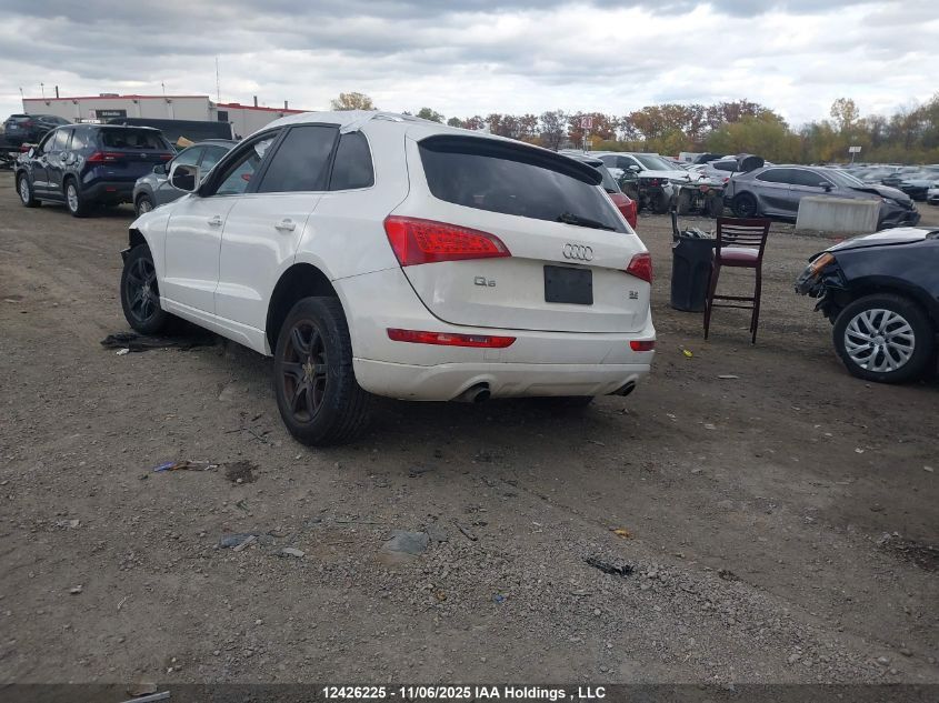 2010 Audi Q5 Premium VIN: WA1CKCFP0AA015973 Lot: 12426225