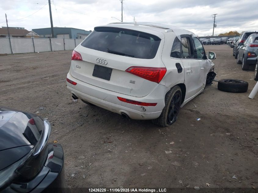 2010 Audi Q5 Premium VIN: WA1CKCFP0AA015973 Lot: 12426225
