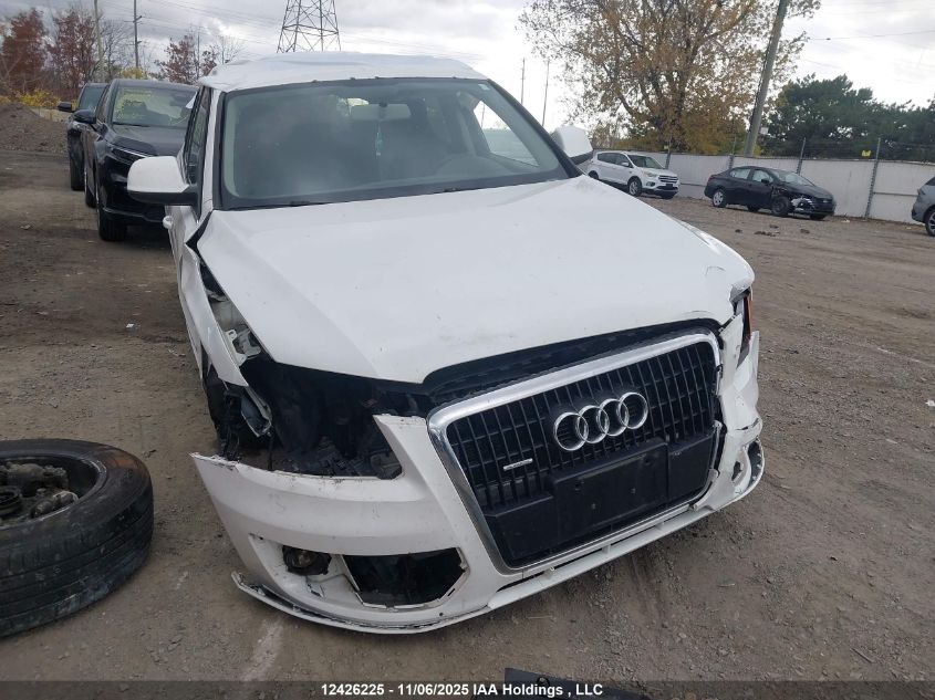 2010 Audi Q5 Premium VIN: WA1CKCFP0AA015973 Lot: 12426225