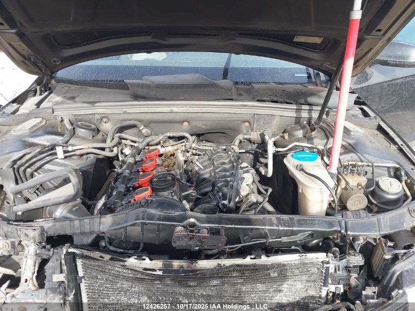 2010 Audi A4 Premium VIN: WAUBFCFL7AN020192 Lot: 12426257