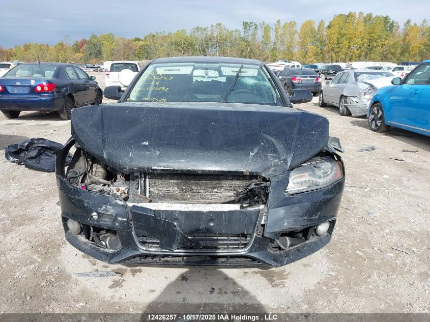 2010 Audi A4 Premium VIN: WAUBFCFL7AN020192 Lot: 12426257