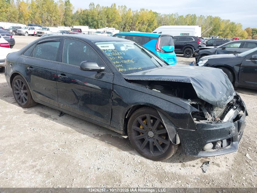 2010 Audi A4 Premium VIN: WAUBFCFL7AN020192 Lot: 12426257