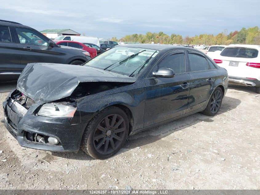 2010 Audi A4 Premium VIN: WAUBFCFL7AN020192 Lot: 12426257