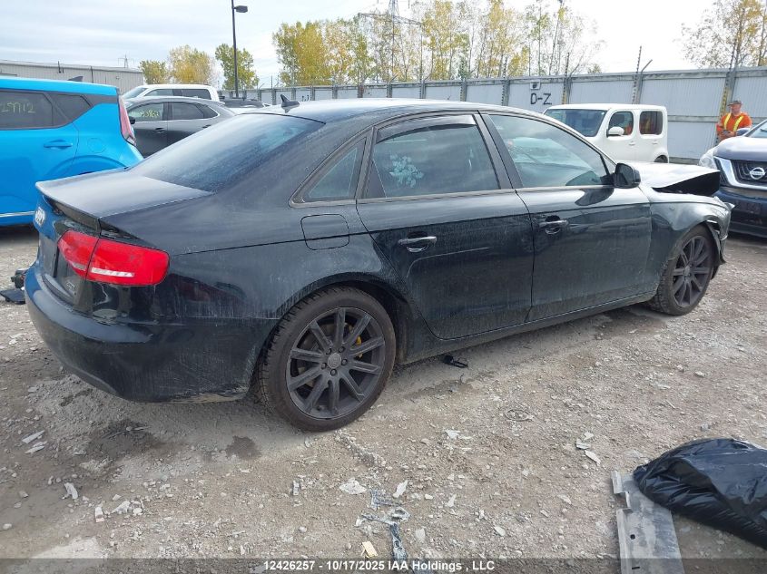2010 Audi A4 Premium VIN: WAUBFCFL7AN020192 Lot: 12426257