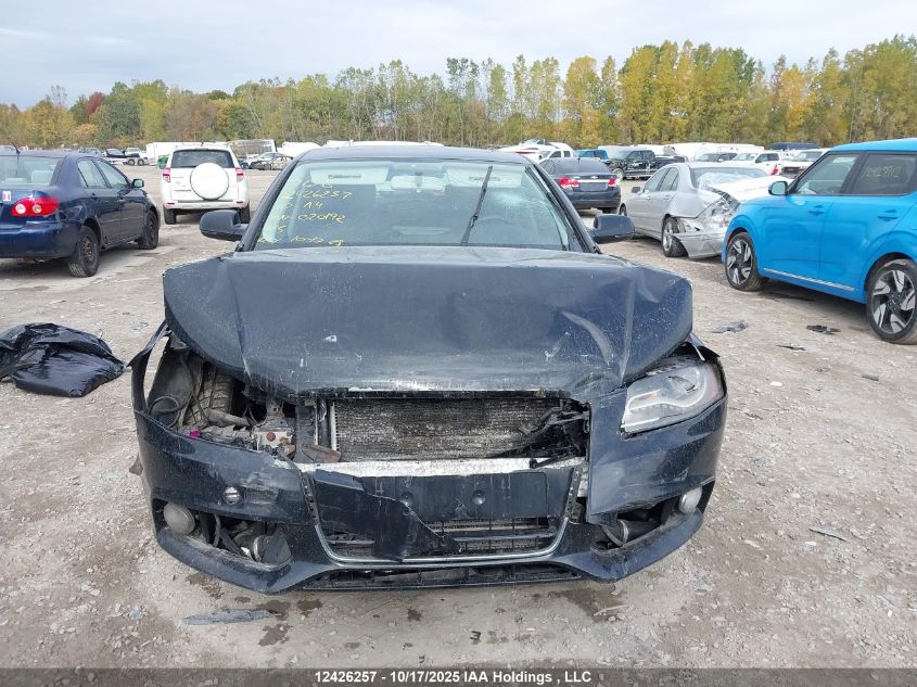 2010 Audi A4 Premium VIN: WAUBFCFL7AN020192 Lot: 12426257