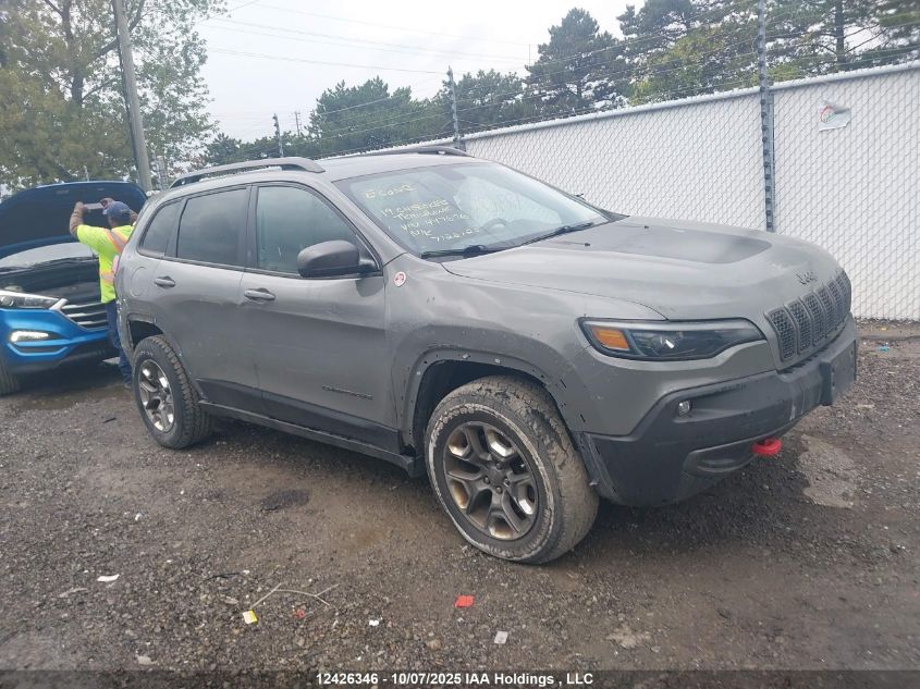 2019 Jeep Cherokee Trailhawk VIN: 1C4PJMBX9KD447676 Lot: 12426346